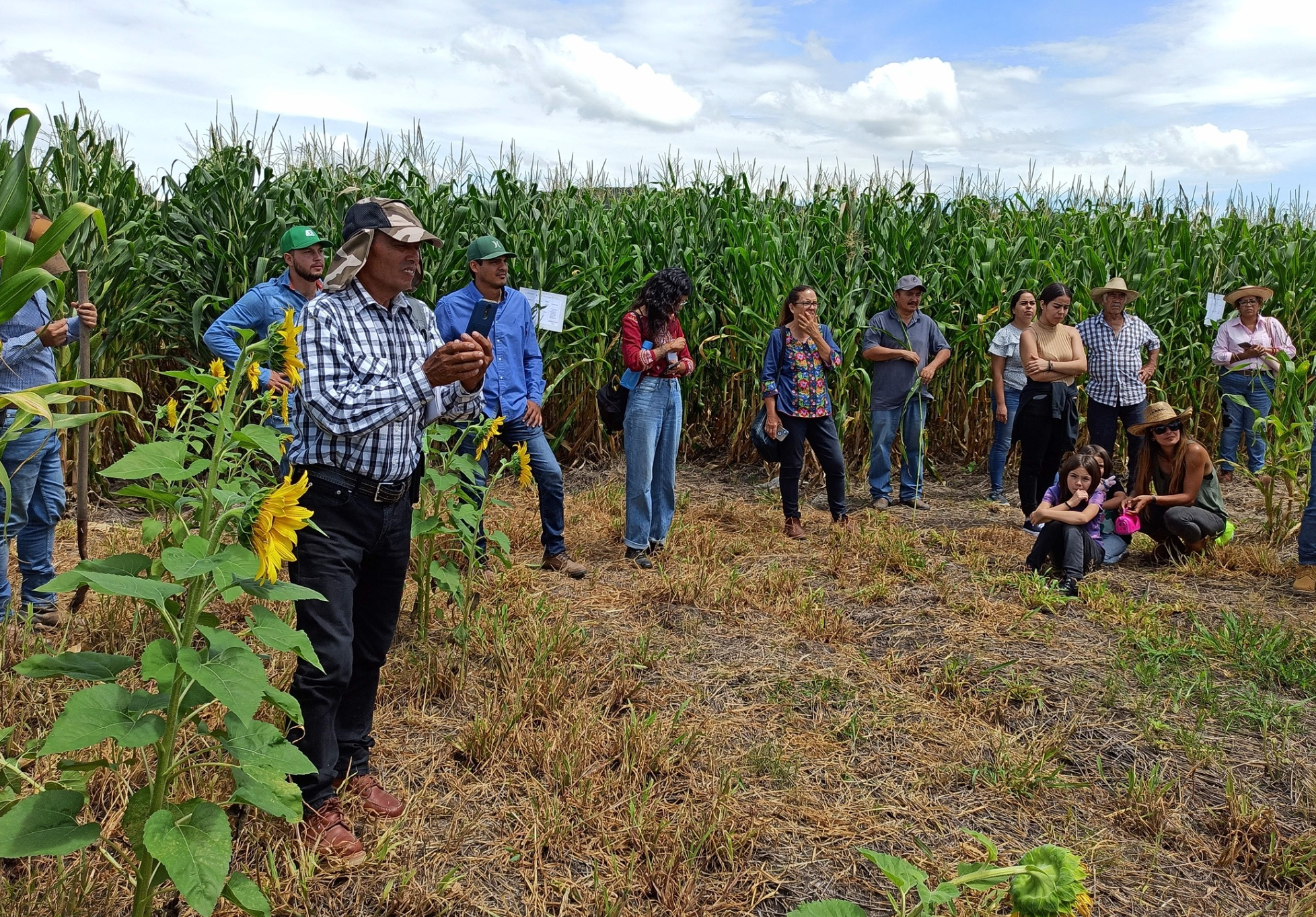 Agricultores de Jalisco piden 7 mil pesos por tonelada de maíz